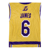 LeBron James (LA Lakers) Raschel Throw